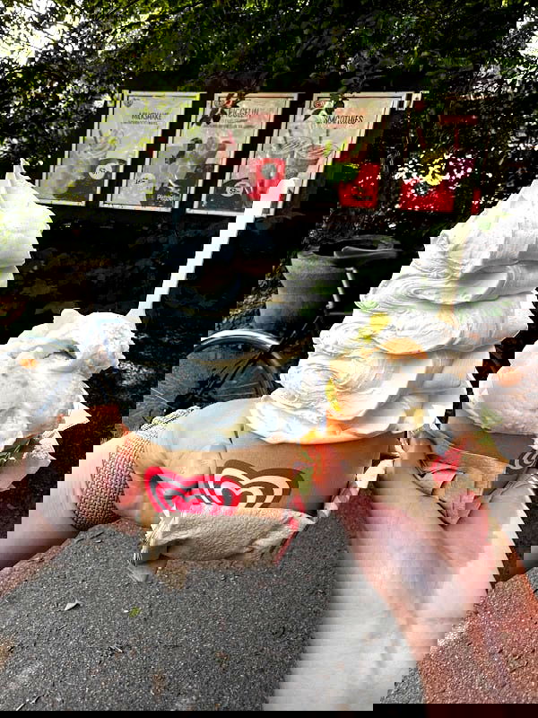 Saltsjöbadens Kiosk - Photo 2