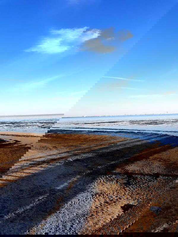 Saltsjöbadens Kiosk - Photo 5