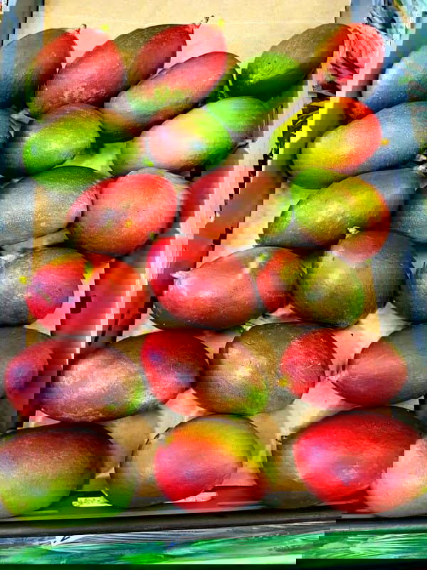 Alrahmani snabb sandwich - Photo 3