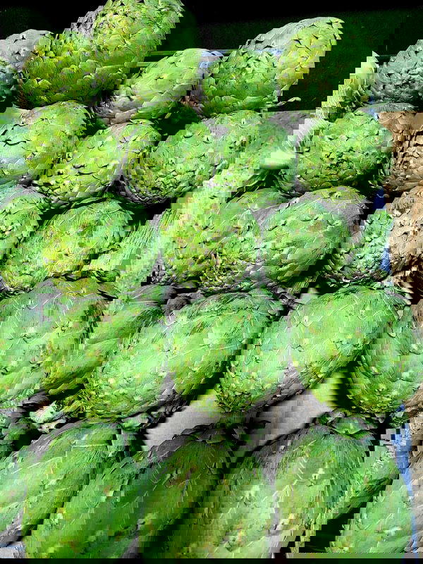 Alrahmani snabb sandwich - Photo 4