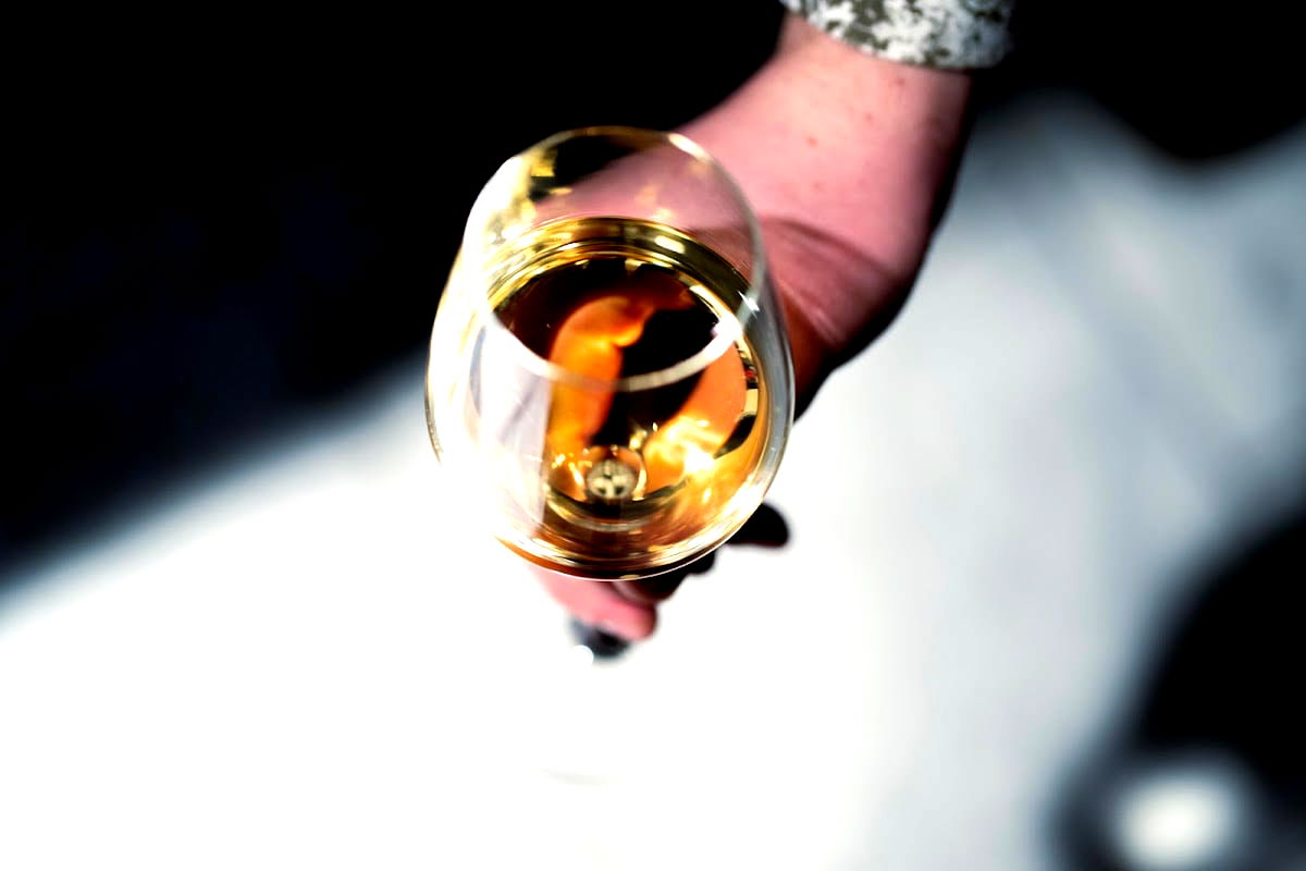 Vinbar 17 - Pembert & Company - Photo 3