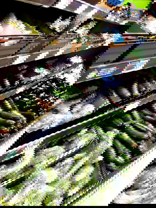 Willys Uppsala Kungsgatan - Photo 4