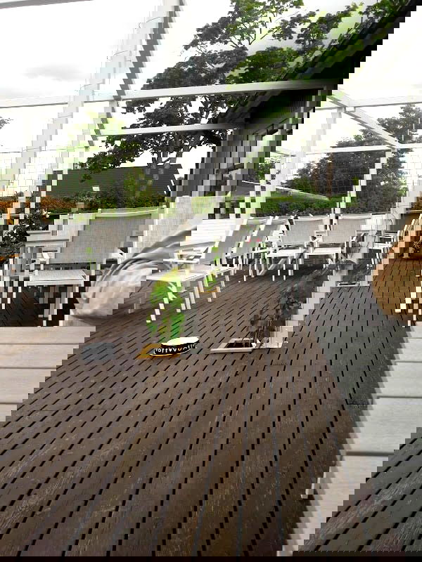 Stiernhielms på landet Krog & Livs - Photo 5