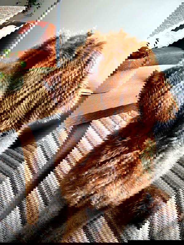 Bara pub och pizzeria - Photo 4