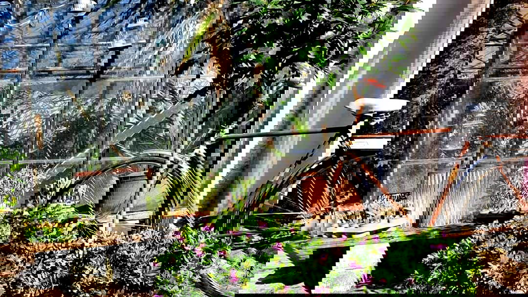 Wasabi orangeri café - Photo 4