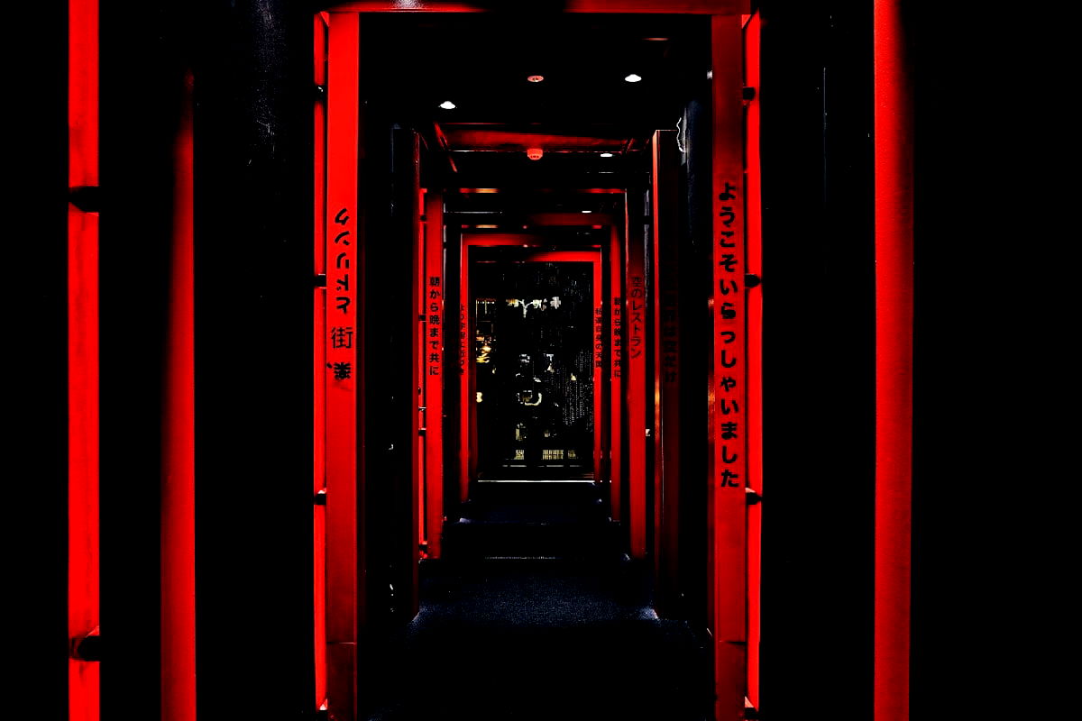 Kasai in the Sky - Photo 4