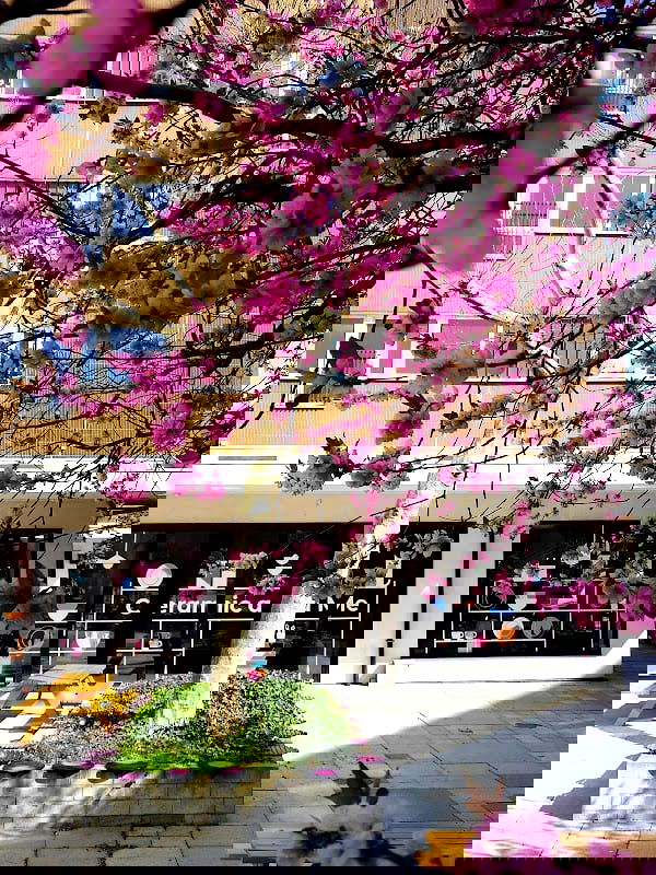 Ceramic and Me Malmö - Photo 3