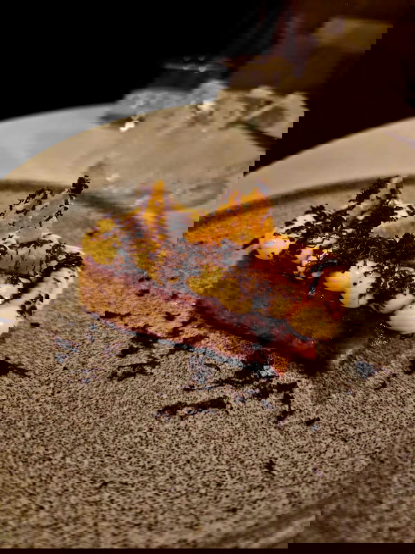 Klostergatan 5 - Photo 5